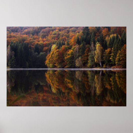 Poster Couleurs réfléchies (Devant)