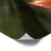 Poster Couleurs sur la perruque (Coin)