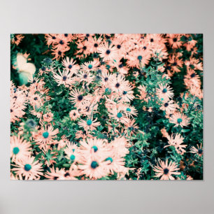 Poster Couleurs uniques de fleurs sauvages