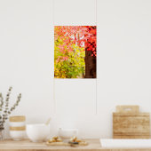 Poster Couleurs vives de l'érable japonais en automne (Cuisine)