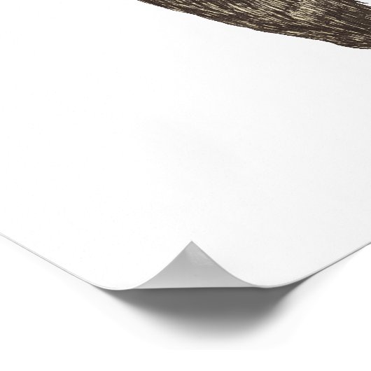 Poster Country Bear Noël (Coin)