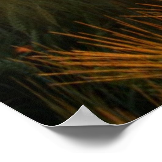 Poster Coup de soleil sur le champ de blé (Coin)