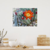 Poster Coupe Claret (Cuisine)