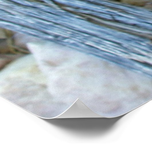 Poster Coupe Claret (Coin)