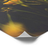 Poster Coupe de beurre - Coucher du soleil (Coin)