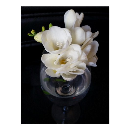 Poster coupe de nuit de freesia (Devant)