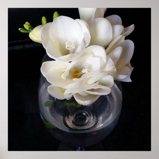 Poster coupe de nuit de freesia (Devant)