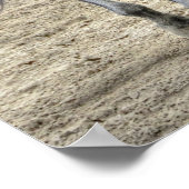 Poster Coupe du monde de Dubaï gagnant le jockey Joel Ros (Coin)