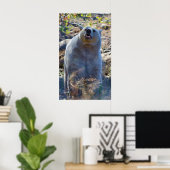 Poster Coupe Kermode (Esprit) Ours Scene Faune (Bureau à domicile)