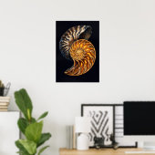 Poster Coupe transversale de coquille de nautile — Spiral (Bureau à domicile)