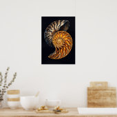 Poster Coupe transversale de coquille de nautile — Spiral (Cuisine)