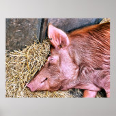 POSTER COUPER (Devant)