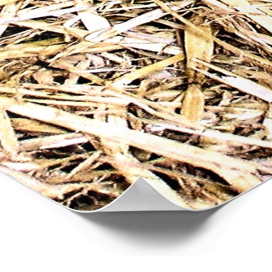 POSTER COUPER (Coin)