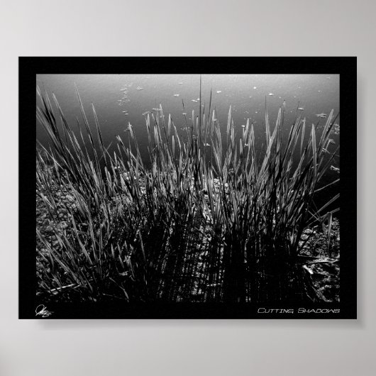 Poster Couper les ombres (Devant)