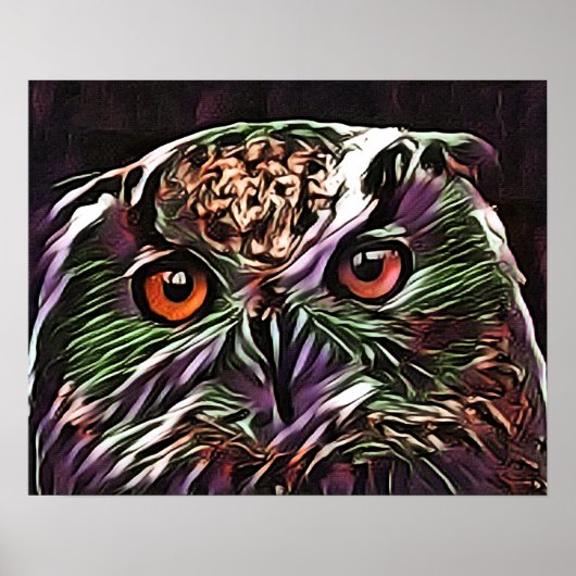 POSTER COUPER OWL (Devant)