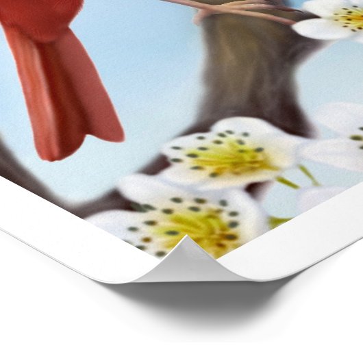 Poster Couple cardinal en fleurs Apple Imprimer (Coin)