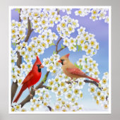 Poster Couple cardinal en fleurs Apple Imprimer (Devant)