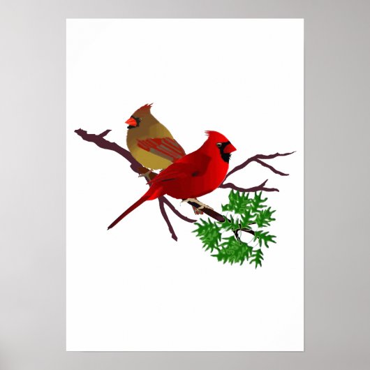 Poster Couple cardinal sur une branche (Devant)