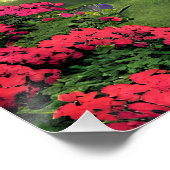 Poster Couple dans le parc-56476 (Coin)