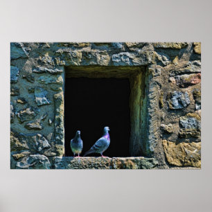 Poster Couple de pigeons dans la fenêtre du château