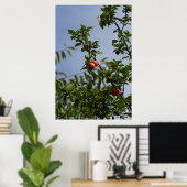 Poster couple de pommes rouges sur une branche (Bureau à domicile)