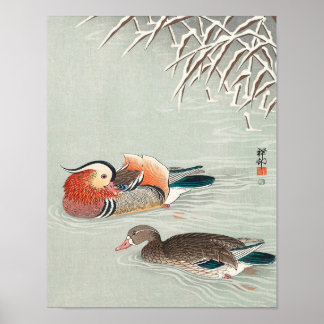 Poster Couple mandarin duck print