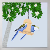 Poster Couple mignon Parrots Joués Rosellas (Devant)