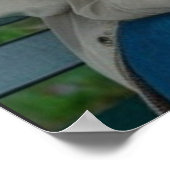 Poster Couple romantique assis près ensemble (Coin)