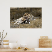 Poster Couple Safari-Lion (Cuisine)
