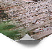 Poster Couples Wedding shower Bienvenue Script 1 Photo (Coin)