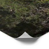 Poster Cour des Patriarches II du Parc national de Sion (Coin)