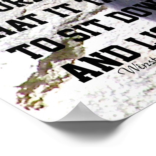 Poster Courage_ (Coin)