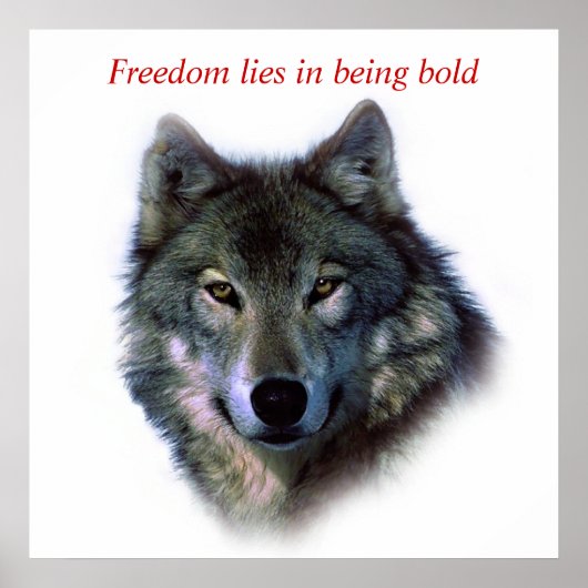 Poster Courage motivationnel Liberté Les yeux du loup (Devant)