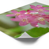 Poster Courant de floraison rouge (Coin)