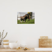 Poster Courant de poulain (Cuisine)