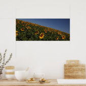 Poster Courbe (Cuisine)