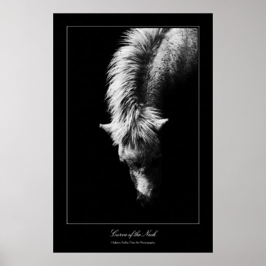 Poster Courbe D'Art Du Cou, style galerie (Devant)