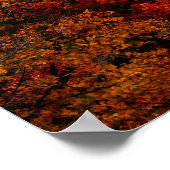 Poster Courbe Denton Hill S (Coin)