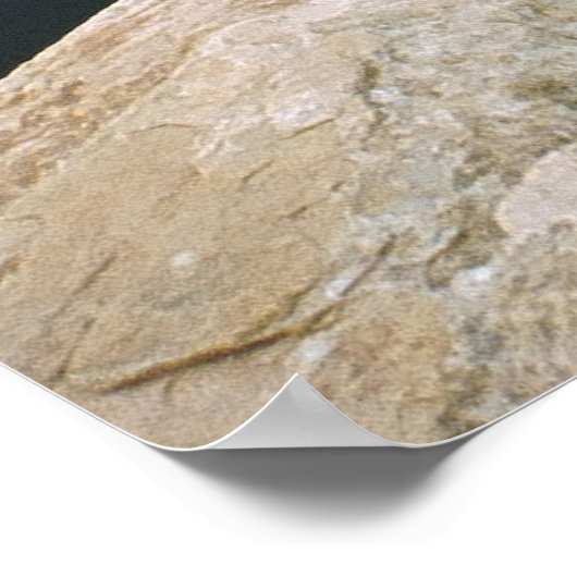 Poster Courbe du fer à cheval (Coin)