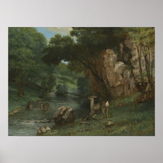 Poster Courbet - Roe Deer À Un Ruisseau (Devant)