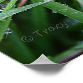 Poster Coureur de lames (Coin)