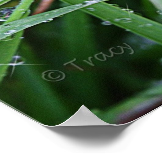 Poster Coureur de lames (Coin)