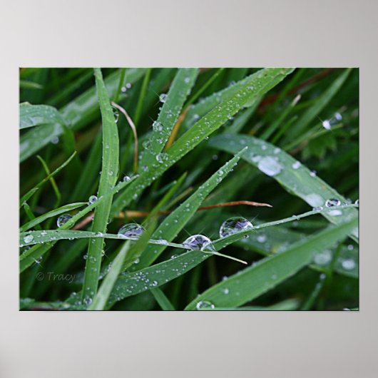 Poster Coureur de lames (Devant)