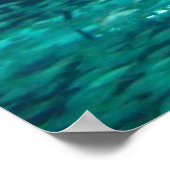 Poster Courez ! Requins ! (Coin)