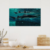 Poster Courez ! Requins ! (Cuisine)