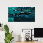 Poster Courez ! Requins ! (Bureau à domicile)