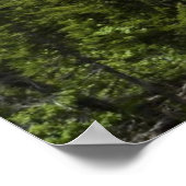 Poster Courir Eagle Falls au parc national des Glaciers (Coin)