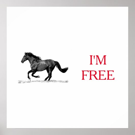 Poster Courir le cheval noir blanc Je suis libre (Devant)