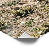 Poster Courir le Serengeti (Coin)