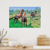 Poster Courir Pinto Peinture Gelding & Stallions châtaign (Cuisine)